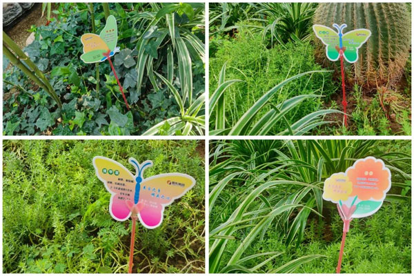 97������ʼ���������״�Ļ���������