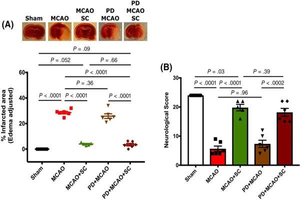 �з�,ȱѪ���з�,��Ѫ���з�