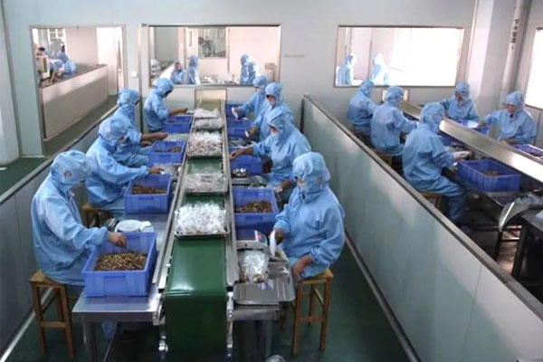 97���������ҩ��Ƭ����