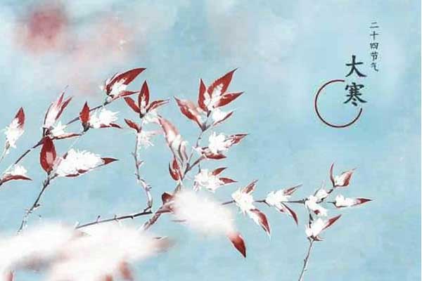 ������,����,�ղ�