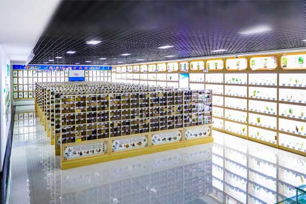 97������ʿƼ�������ҩ�걾��