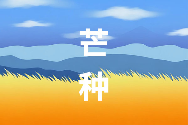 97����-����Ʒ��,Դ������