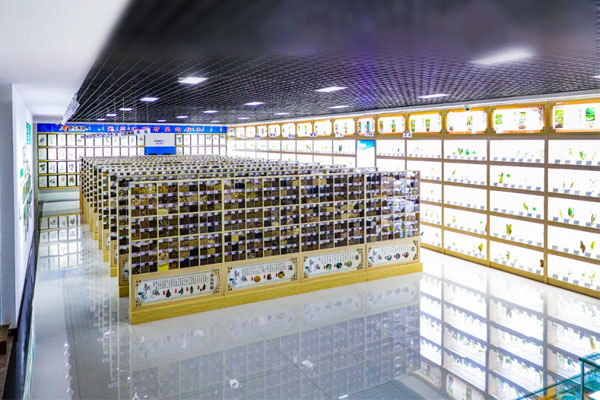 97������ʼ��ſƼ�������ҩ�걾��