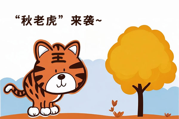 97����-����Ʒ��,Դ������