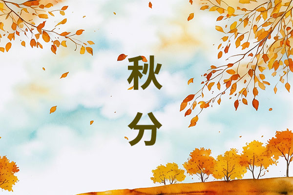 97����-����Ʒ��,Դ������