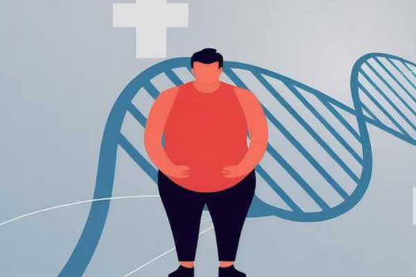 97����-����Ʒ��,Դ������