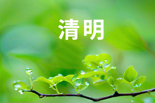 97����-����Ʒ��,Դ������