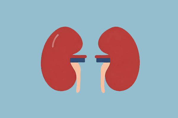 ����,��������,��������ʳ��