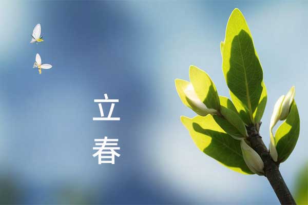 ����,����������