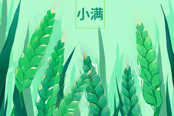 97����-����Ʒ��,Դ������