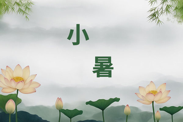 97����-����Ʒ��,Դ������