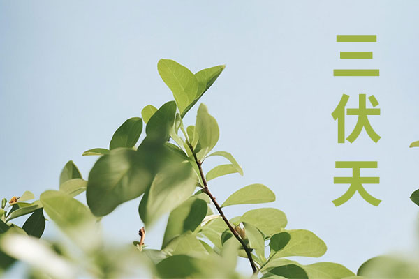 97����-����Ʒ��,Դ������